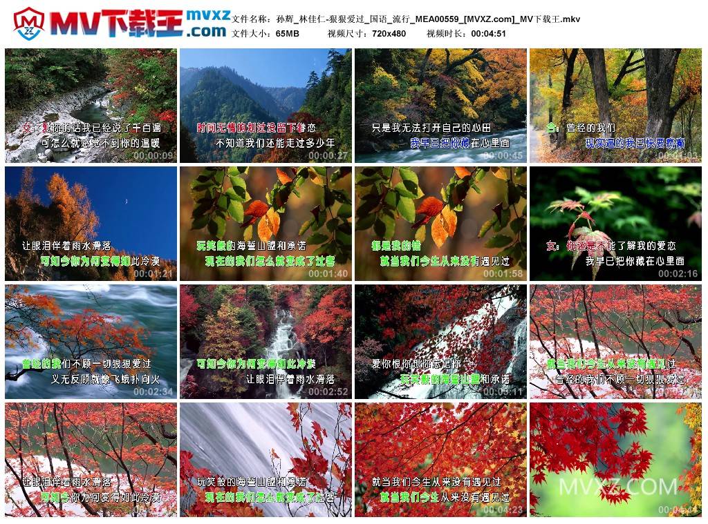 孙辉_林佳仁-狠狠爱过_国语_流行_MEA00559